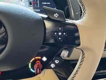 FERRARI PUROSANGUE 2025 Image 49