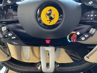 FERRARI PUROSANGUE 2025 Image 50