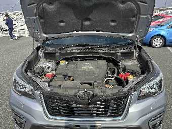 SUBARU FORESTER 2019 Image 10