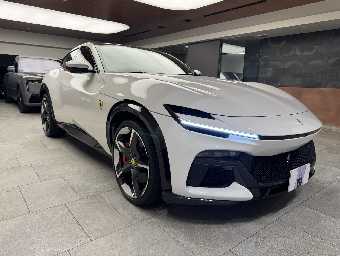 FERRARI PUROSANGUE 2025 Image 3