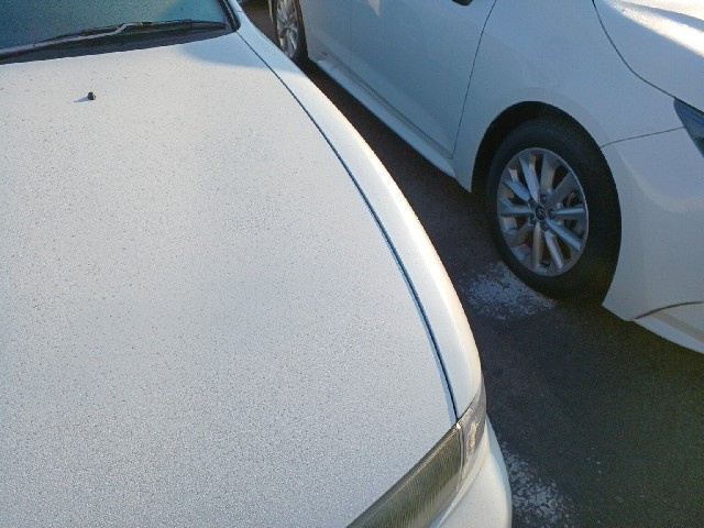 NISSAN SILVIA 1994 Image 39