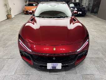 FERRARI PUROSANGUE 2025 Image 2