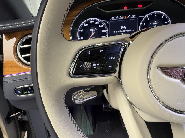BENTLEY CONTINENTAL 2024 Image 39