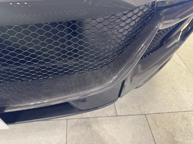 FERRARI PUROSANGUE 2024 Image 40