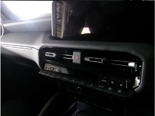 TOYOTA LAND CRUISER 2024 Image 19