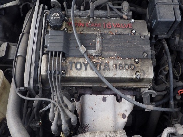 TOYOTA COROLLA FX 1991 Image 23