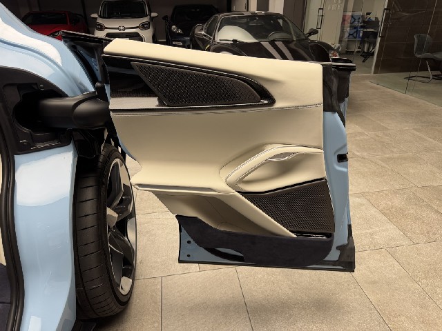 FERRARI PUROSANGUE 2024 Image 28