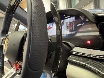 FERRARI PUROSANGUE 2024 Image 48