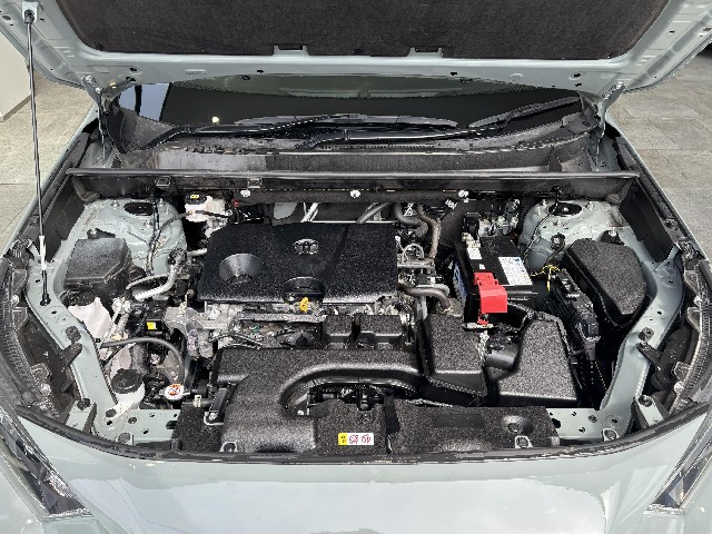 TOYOTA RAV-4 2022 Image 60