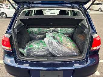 VOLKSWAGEN GOLF 2013 Image 10