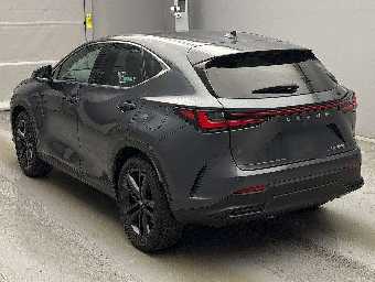 LEXUS NX 2023 Image 4