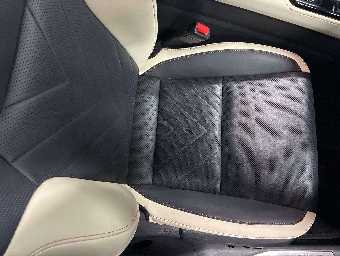 LEXUS NX 2023 Image 8