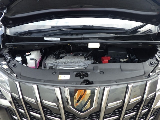 TOYOTA ALPHARD 2022 Image 30