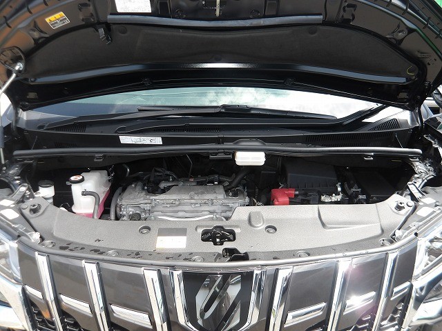 TOYOTA ALPHARD 2022 Image 24