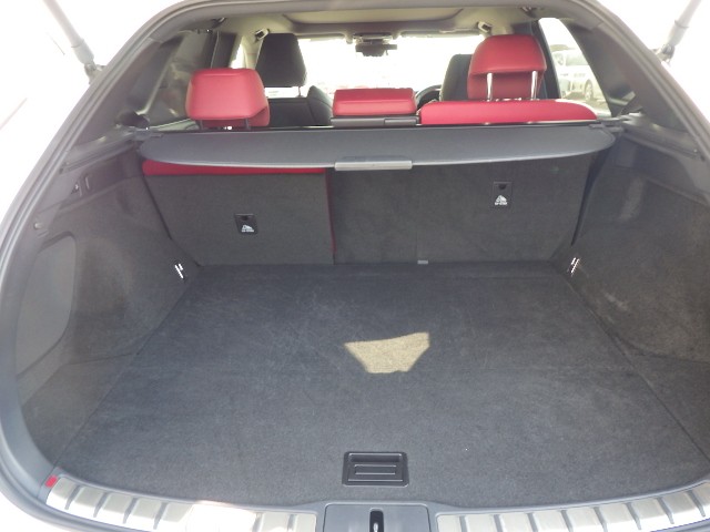 LEXUS RX 2024 Image 24