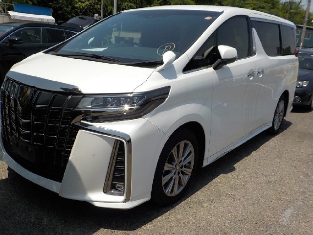 TOYOTA ALPHARD 2021 Image 19