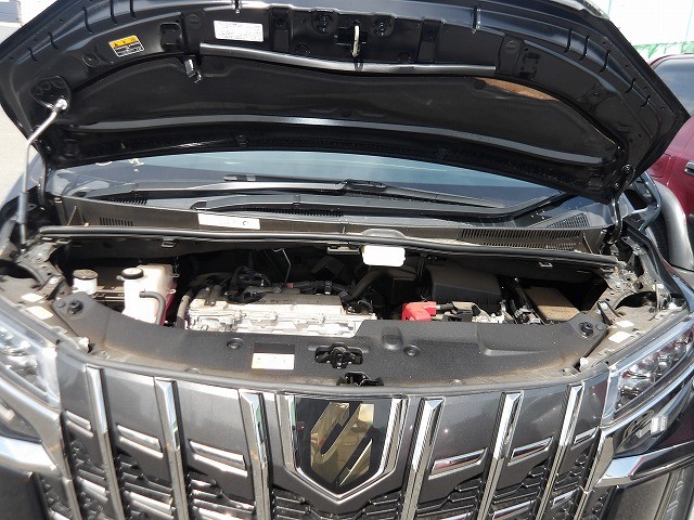 TOYOTA ALPHARD 2021 Image 36