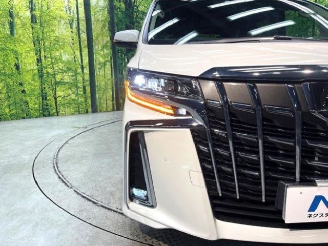 TOYOTA ALPHARD 2023 Image 24
