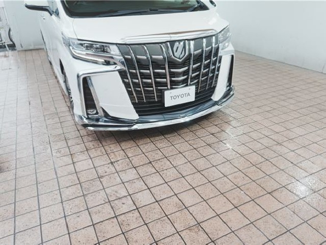 TOYOTA ALPHARD 2022 Image 60
