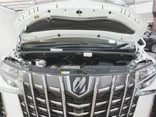 TOYOTA ALPHARD 2022 Image 76