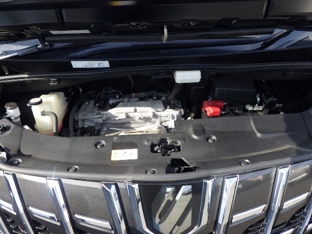 TOYOTA ALPHARD 2022 Image 41