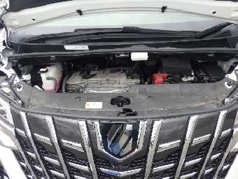 TOYOTA ALPHARD 2023 Image 12