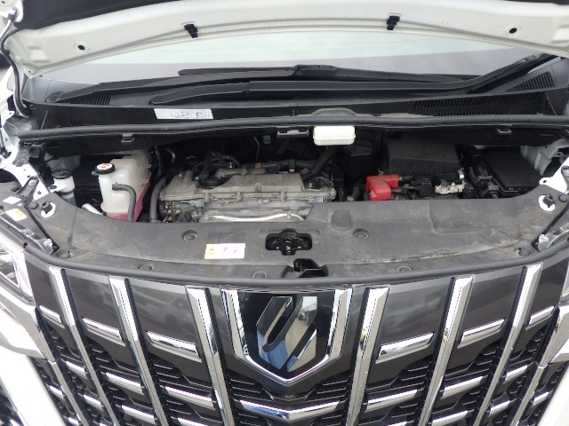 TOYOTA ALPHARD 2023 Image 21