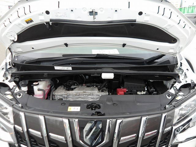 TOYOTA ALPHARD 2022 Image 26