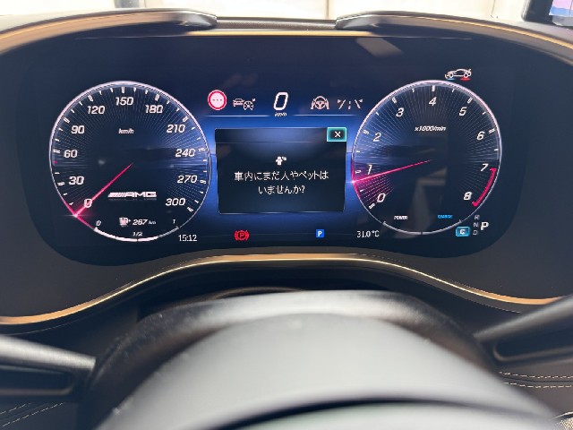 MERCEDES AMG GT 2024 Image 46