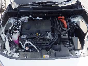 TOYOTA RAV-4 2021 Image 18