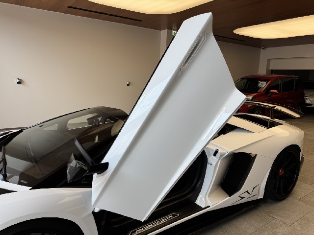 LAMBORGHINI AVENTADOR 2016 Image 26