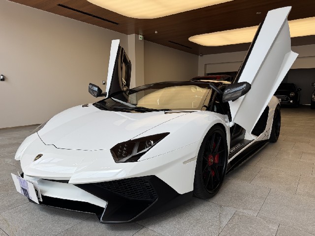 LAMBORGHINI AVENTADOR 2016 Image 66