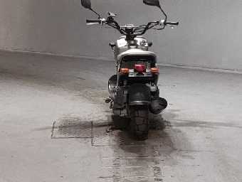HONDA ZOOMER 1970 Image 4