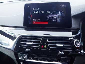 BMW 5 SERIES 2019 Image 17