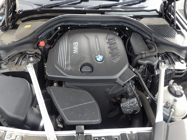 BMW 5 SERIES 2019 Image 70