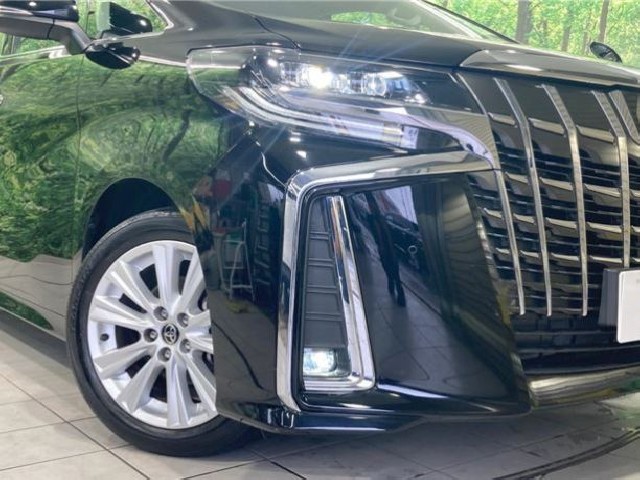 TOYOTA ALPHARD 2022 Image 25