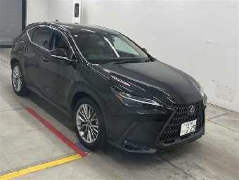 LEXUS NX 2023 Image 2