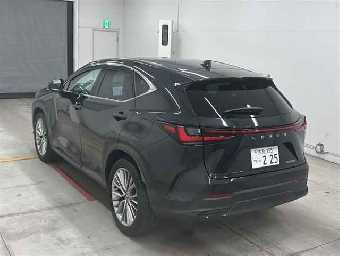 LEXUS NX 2023 Image 3
