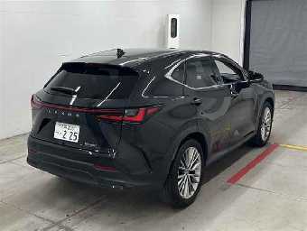 LEXUS NX 2023 Image 4
