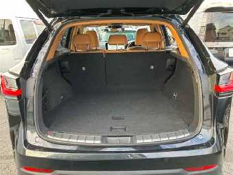 LEXUS NX 2023 Image 10
